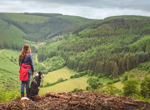 Radnor Forest walks