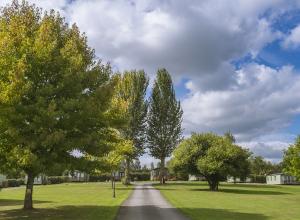 Mature parkland setting of Arrow Bank photo