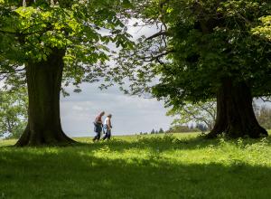 Walking at Croft Castle park and gardens