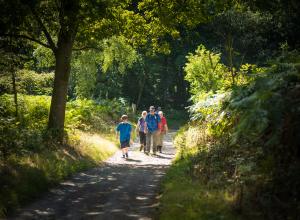 Fabulous country walks surround Arrow Bank photo