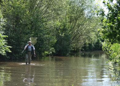 River Arrow fishing 5 star caravan park.