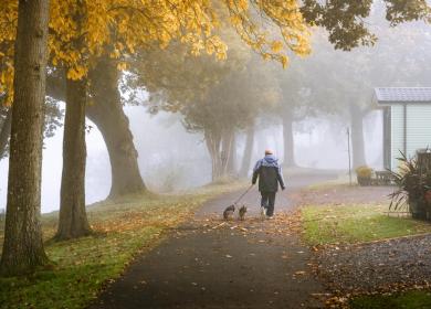 dog friendly caravan site in Eardisland, Herefordshire, England